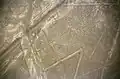 العنكبوت