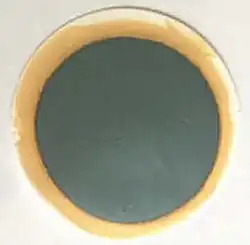 NbS2 exfoliated layer
