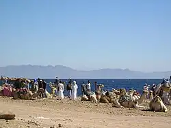 دهب وفي الخلفية الحدود السعودية.