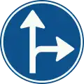 D6: Instruction to follow one of the directions ahead shown by the arrows