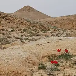 جبال النقب