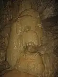 الهيكل العظمي