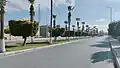 شارع محمد متولي الشعراوي