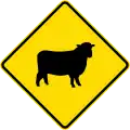 الأغنام (نيوزيلندا).