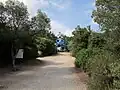 حديقة التاروت