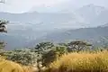 جبل نيمبا