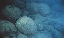 لاحظ الزرقة التي تبعث للأشياء تحت الماء في هذه الصورة من وسادة الحمم (NOAA)