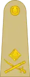 الجيش الباكستاني