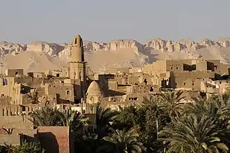 منظر لقرية القصر وتظهر مئذنة مسجد الشيخ نصر الدين في الأفق