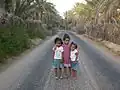 طريق الواحة بقبلي