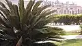 كارفور العبور
