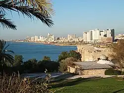 يافا / تل أبيب