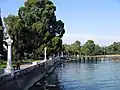 رصيف سوخومي