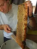 فتح خلايا اللوح