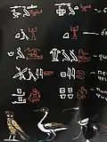 حروف الهيروغليفية من كتاب قواعد اللغة المصرية