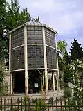 مشتل نخيل غوته