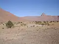 صحراء الوادي