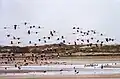 وادي سوس بالقرب من مدينة أكادير