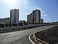 جامعة القليعة