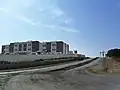 جامعة القليعة