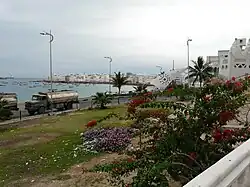 منظر عام للمدينة
