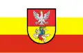 flag of the city
