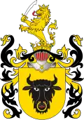 Noble arms of the Polish Wieniawa family[بحاجة للسنة]