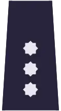 الشرطة البولندية