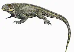 Palaeohatteria longicaudata