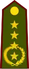 General de ejército(Paraguayan Army)