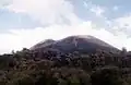 عام 1994