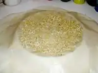الخطوة 4