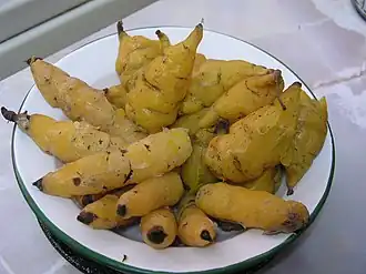 درنات الماشوا