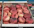صندوق ثمار