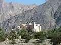 قلعه نخل
