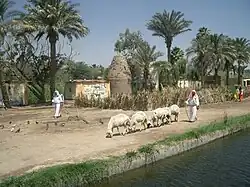 القرية الفرعونية "الجيزة"