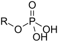 مجموعة فوسفات