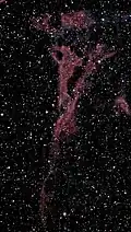Pickering's (Fleming's) Triangular Wisp
