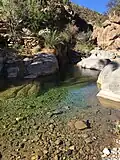 تجمع في وادي الجنة