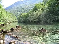 نهر بيفا