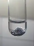 براسيوديميوم المياه.