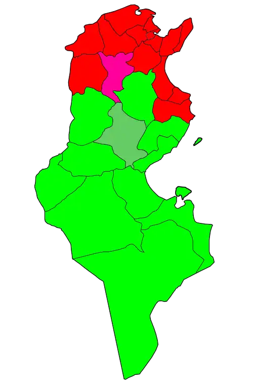 المترشحين المتصدرين في الدوائر الانتخابية في تونس حسب الأصوات في الدورة الأولى: &nbsp;&nbsp;الباجي قائد السبسي (15 دائرة)
 &nbsp;&nbsp;المنصف المرزوقي (10 دوائر)
 &nbsp;&nbsp;محمد الهاشمي الحامدي (1 دائرة)
 &nbsp;&nbsp;حمة الهمامي (1 دائرة)