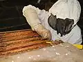 حماية ورفع الألواح