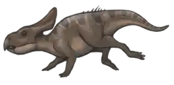 Protoceratops andrewsi
