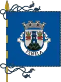 علم Penela