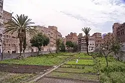صنعاء القديمة