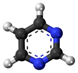 Pyrimidine molecule