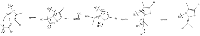 Pyruvate Dehydrogenase Mechanism