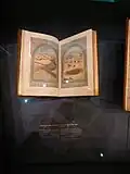 من مقتنيات قصر الوطن