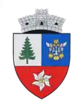 ليسا (براشوف)